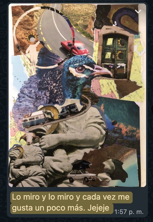 Collage hecho por Picky en su sesión, con su mensaje